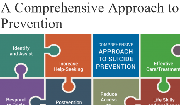 Comprehensive Approach